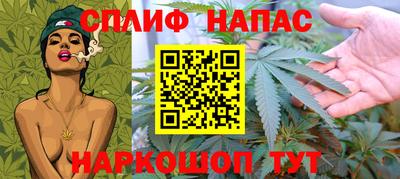 крисы Нальчик
