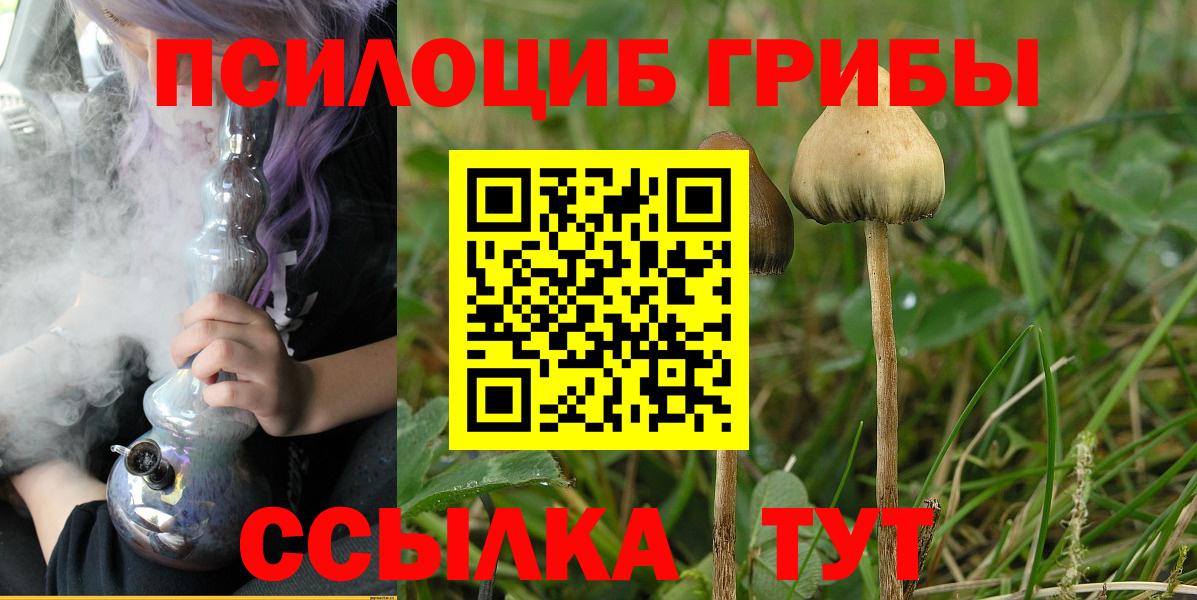 Галлюциногенные грибы мухоморы  Вход с VPN  Сосновоборск  Псилоцибиновые грибы GOLDEN TEACHER 
